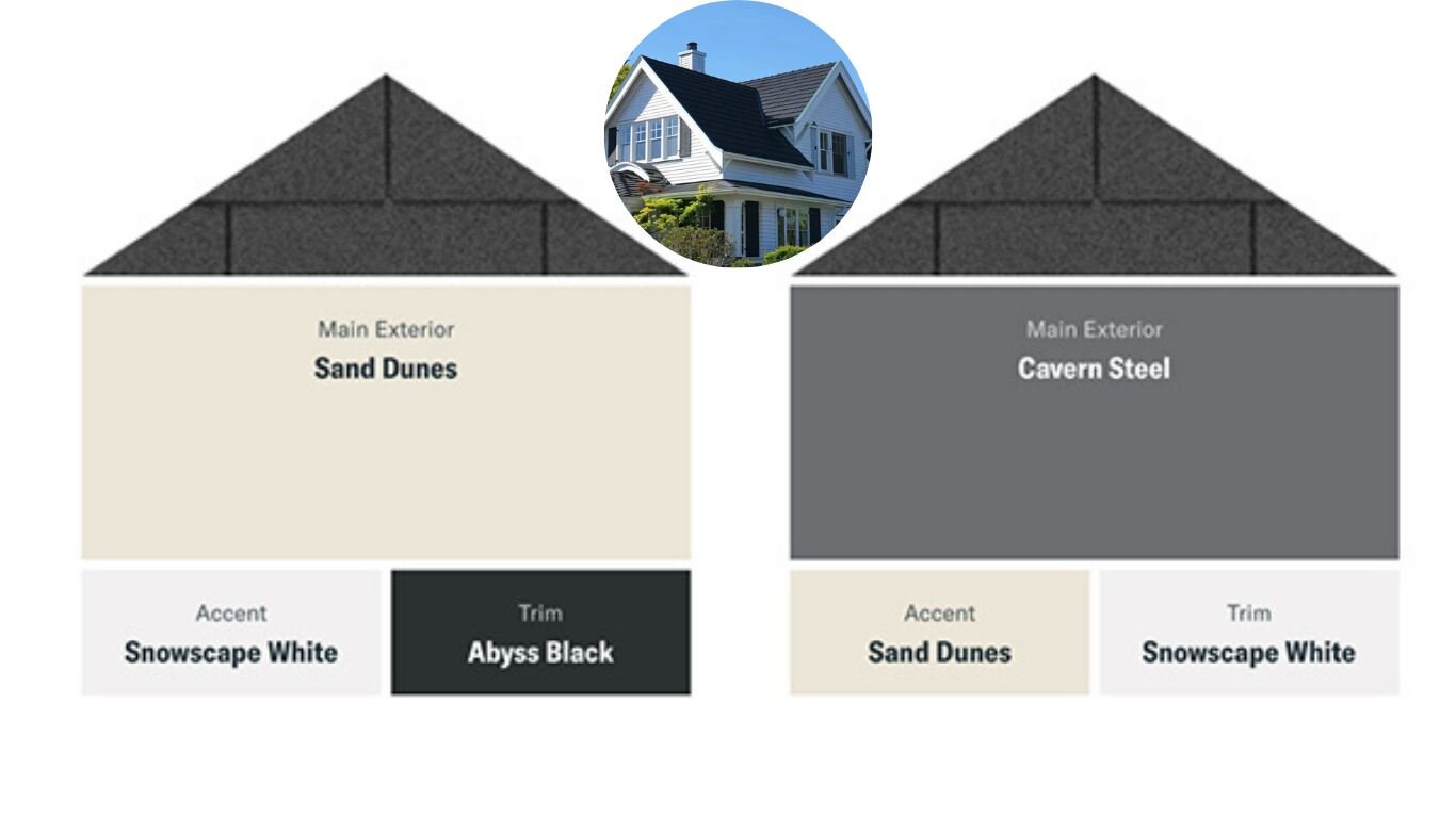 what color siding goes with black roof house