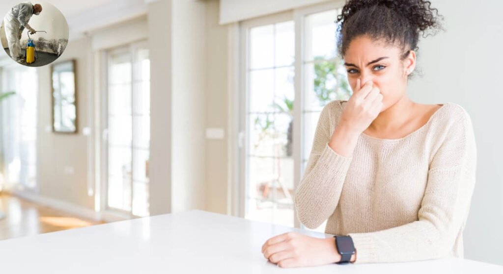 why does my house smell musty after being away