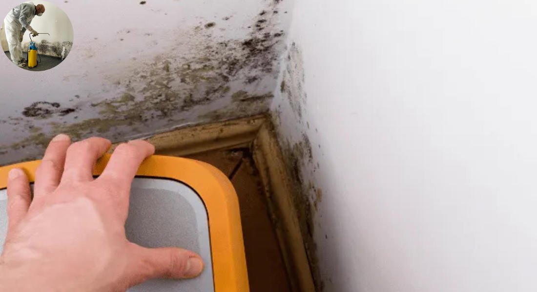 why does my house smell musty after being away