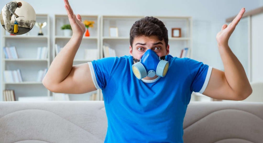 why does my house smell musty after being away