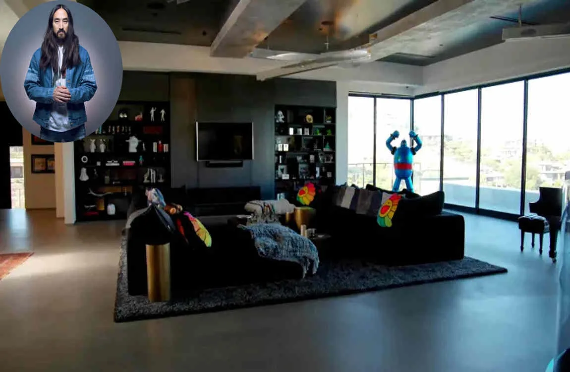 steve aoki house